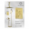Душевая система скрытого монтажа FILARETE Fing FL1042 (Матовое золото)